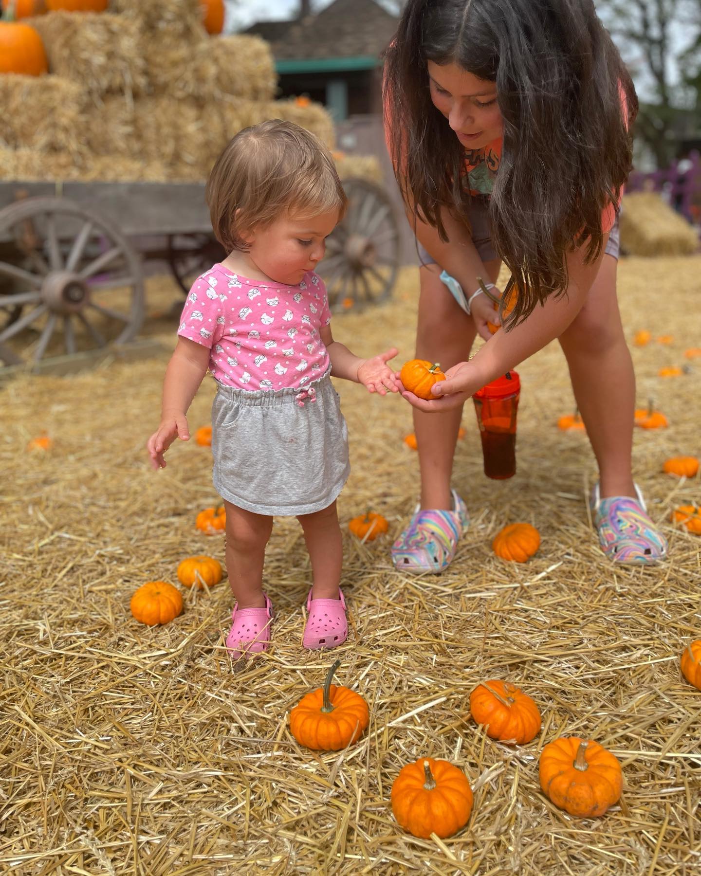 Children with small pumpkins