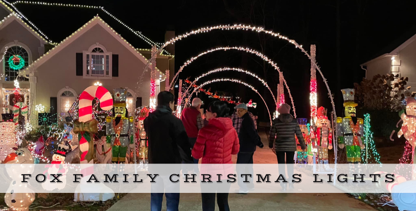 Fox Family Christmas Lights